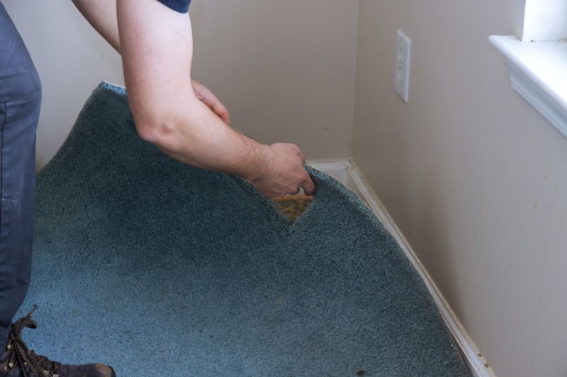 Basement Carpet Stretching in Burlington County, NJ