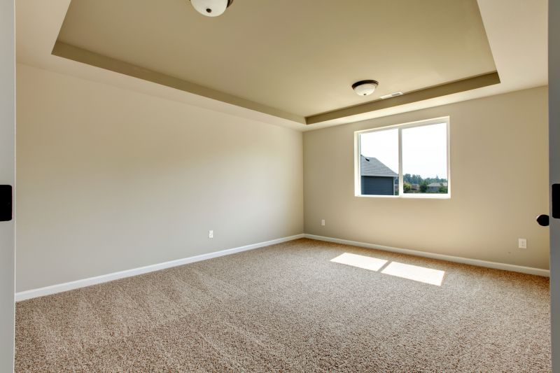 Carpet Hole Repair in Overland Park, KS
