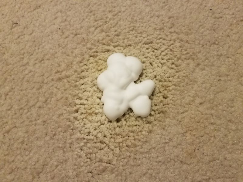 Pet Stain Carpet Repair in Olathe, KS