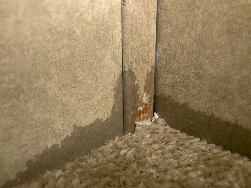 Residential Carpet Repair in Kansas City, KS