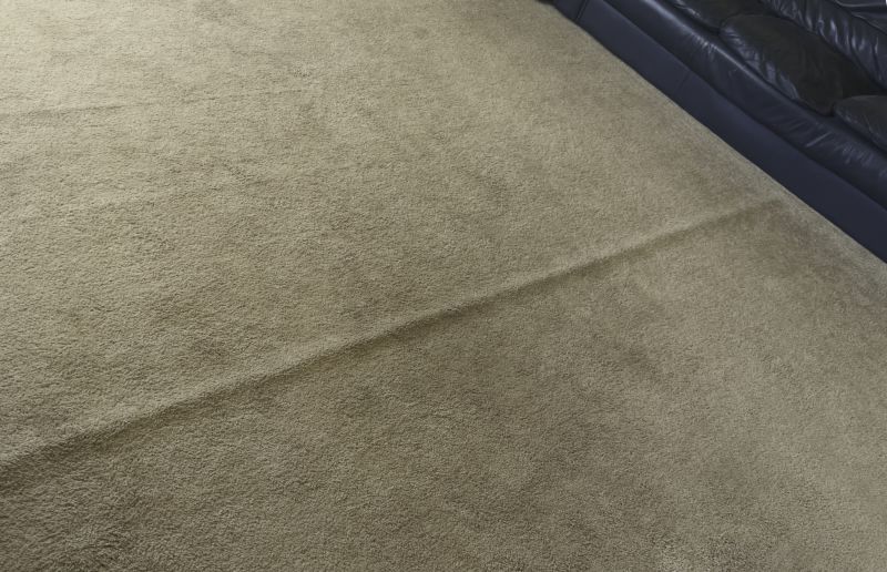 Carpet Repair Service in Alpharetta, GA