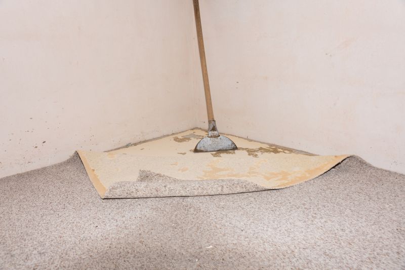 Doorway Carpet Repair in Kansas City, KS